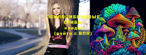 каннабис Абаза