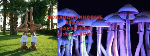 соль ск Алзамай