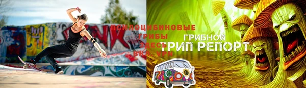 apvp Алексин